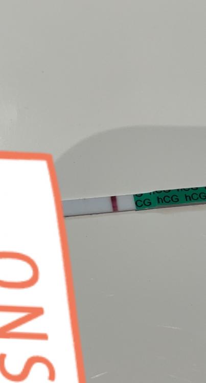 2882965D-7F10-4B9B-A086-4B14C917E740.thumb.jpeg.623ab8781fcb1ea7877d24c068740cf0.jpeg