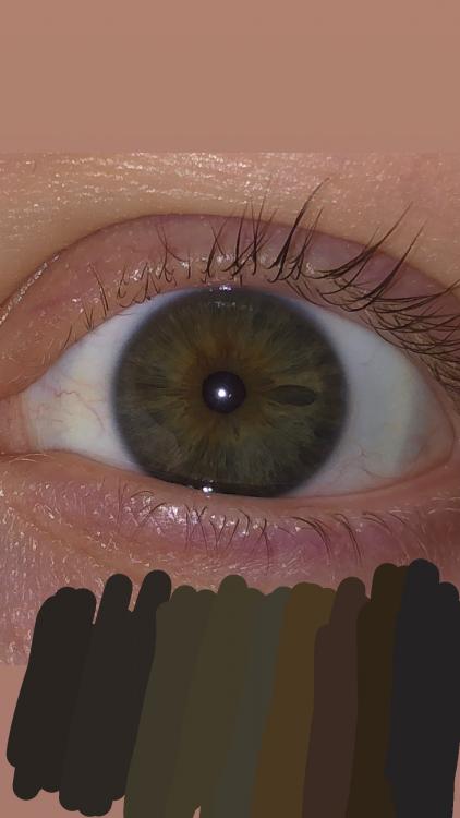 2B592FD1-46C0-481F-ADC8-241E660C776F.thumb.jpeg.d2b4dd0dfdfcdb1fccdb60362f484bc4.jpeg