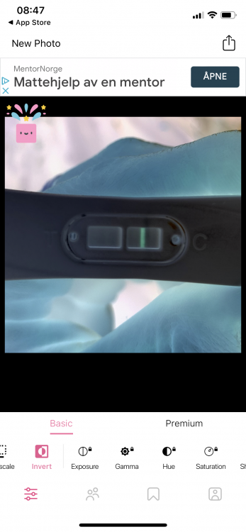 A0D29175-84AA-4E2C-B839-F3D1023A22D5.png