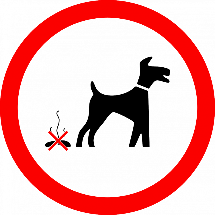 CD520339-4ED5-4CEB-9913-C25AAC838B9A.png