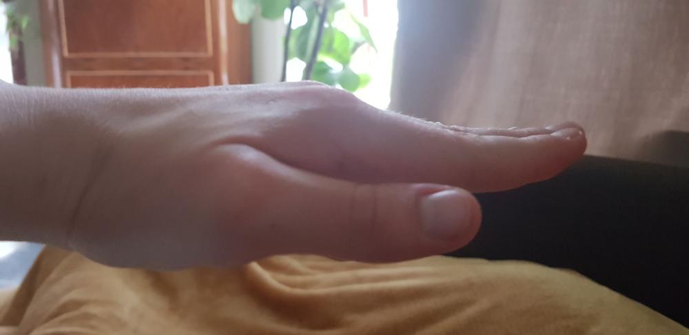 295804282_407346871375438_4270396715249952361_n.thumb.jpg.9d826040e9a4a989401113c16ab3609d.jpg