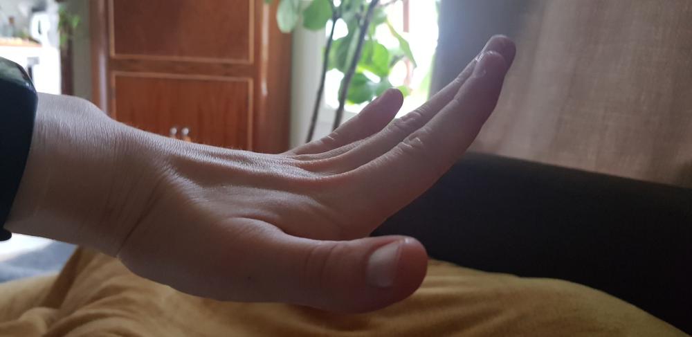 296051939_437469828302965_3720302778097679871_n.thumb.jpg.916c32eae5f9a2c2b39ae246576455d2.jpg