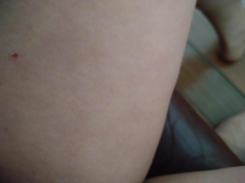 DSC_0015.thumb.JPG.047fc0c08a3ca221e3828e6df34e57f5.JPG