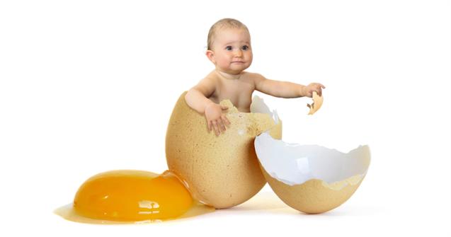 Exploring-eggs.jpg.5c34e43ce27695fd0d42ee941093c461.jpg