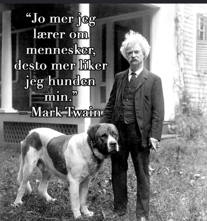 FB_IMG_1656943040608.jpg