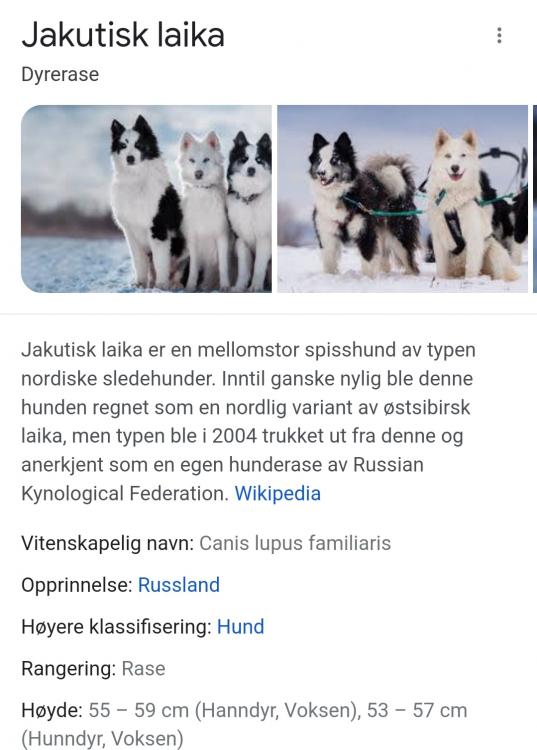 Screenshot_20220701-222324_Google.jpg