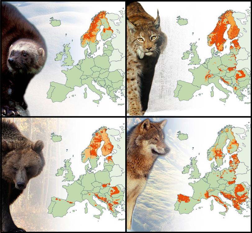 01231C2A-9982-446C-A7C1-0A9A8DA0131E.jpeg