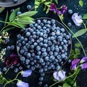 *blueberry*
