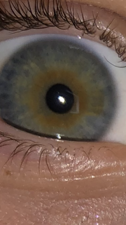 E681C5AE-498C-4C07-AEFE-81468BAEC950.png