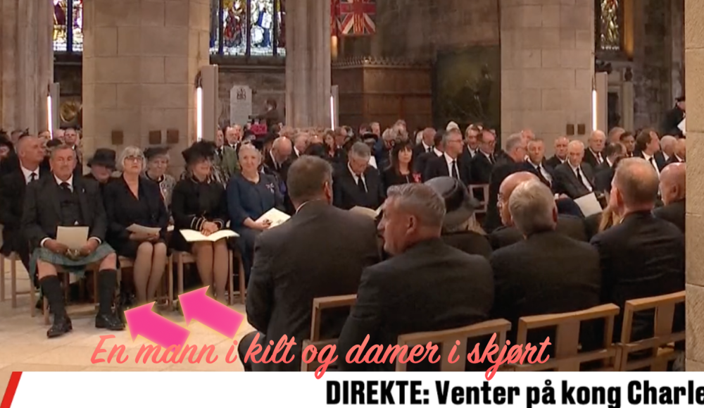 skjørt.png