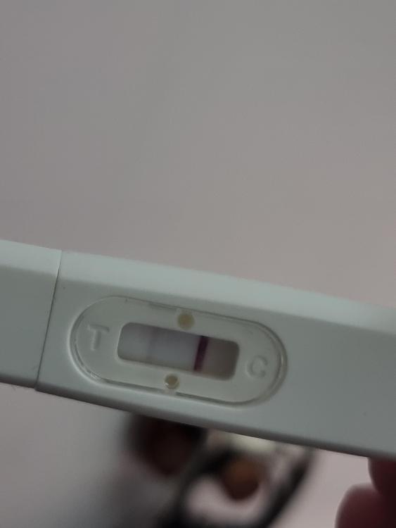20220905_223533.thumb.jpg.f403b51525fd34c4dcefd6df8a97e749.jpg