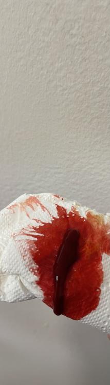 3A798AFE-37F8-4FF2-B309-5FD9B167ABF0.thumb.jpeg.fd76a8244fc70e243796e9b613bf6237.jpeg