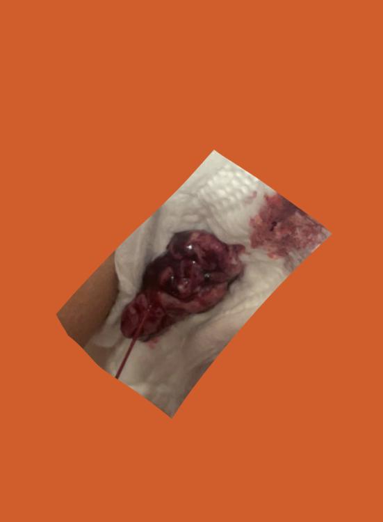 073D0167-066C-4A61-BBD2-7A073881D04E.jpeg