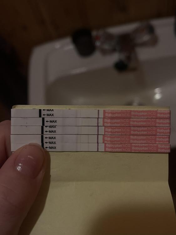 8F365B34-AA8B-45FD-B9FB-4D8F76F52390.thumb.jpeg.92e8b312038ac5308c482a5cb7182529.jpeg