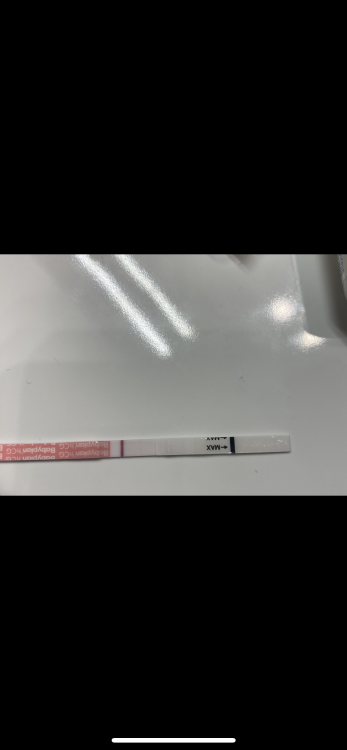 C92D471E-CB56-4DC0-A79B-C01AA777144F.png