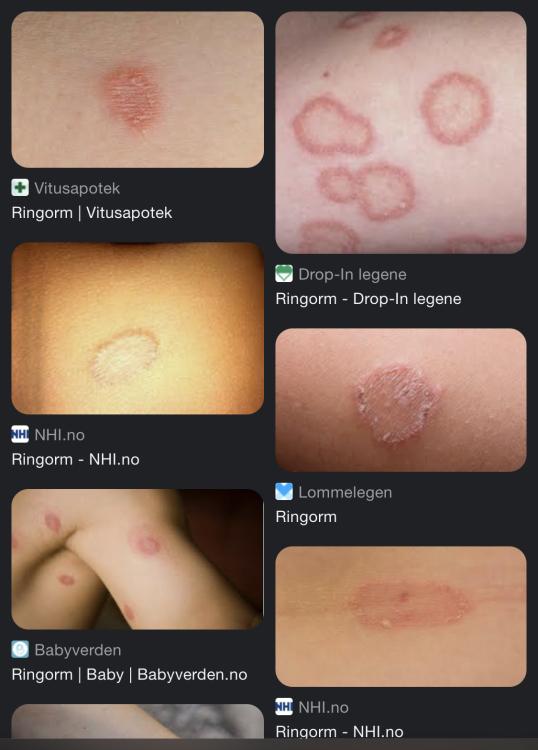 09481DFB-19FC-439C-9BA1-91B116AAC623.jpeg