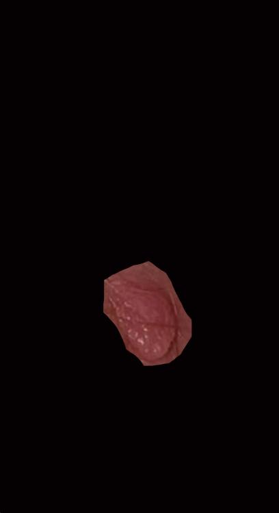 3B827D4D-FC88-491C-BA76-FDA6F75CAE77.jpeg