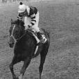 SeattleSlew