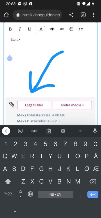 Screenshot_20221223-205339.jpg