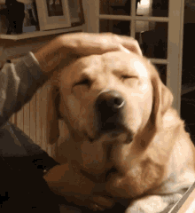 image.gif.bbb91e787b11f2a6dd1116e3b46aeb2a.gif