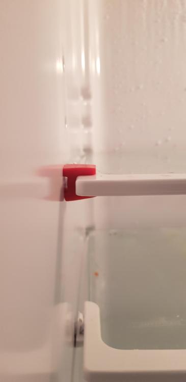 20230114_103607.thumb.jpg.e15718593e98ad3efca3f8c237c82172.jpg
