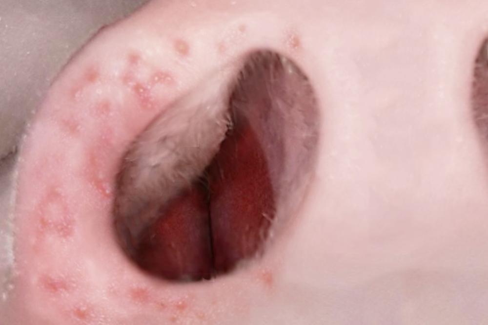 20230105_171852 Cropped.jpg