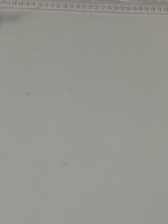 A7235929-06D7-4794-90E8-0B055906DC47.jpeg