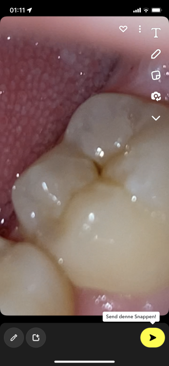 C7396D3D-D168-4193-85C1-C62922AC9E5D.png