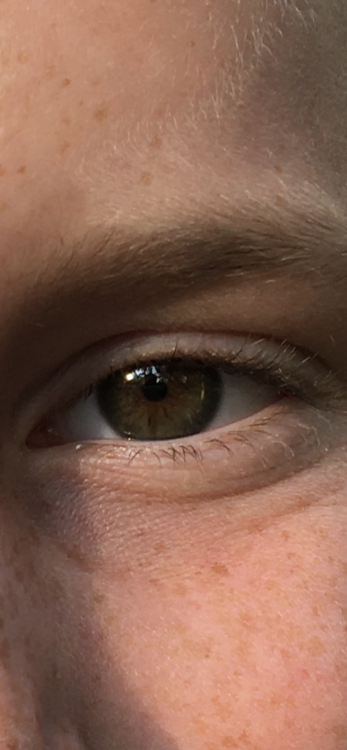 D31B7AC0-B0C6-4B0C-AFD7-5A3170E20D1A.png