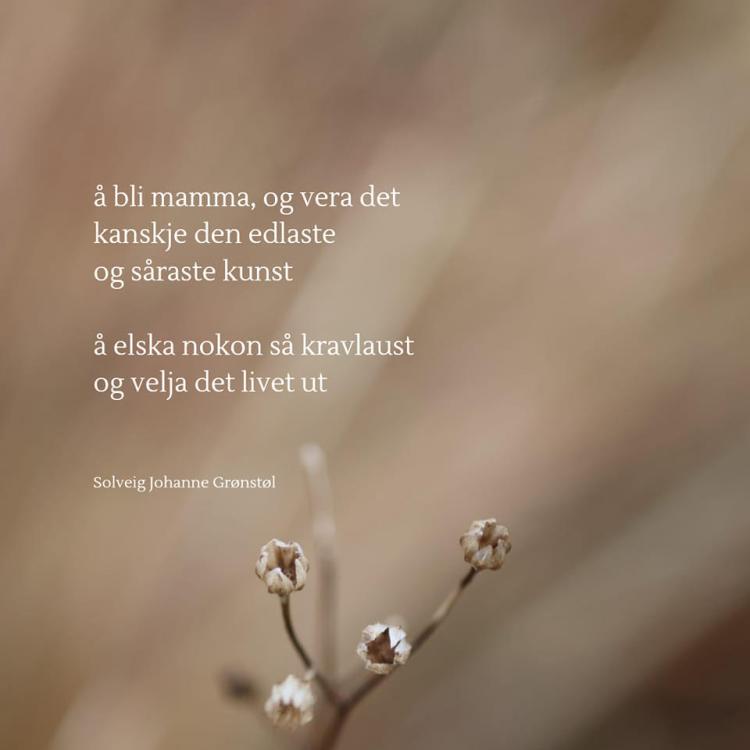 dikt.thumb.jpg.d6e88283c5e0d373b6d4414ca10f5d23.jpg