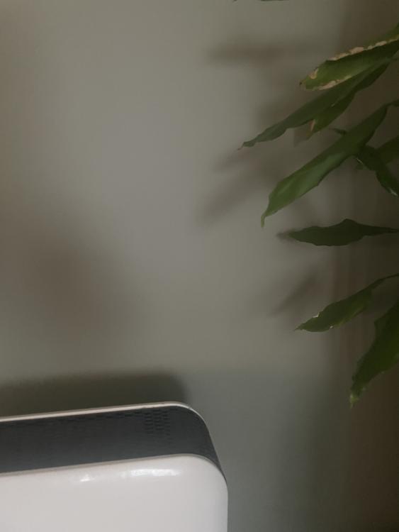 1CE68559-E8D1-41FD-87AA-2F0C1842F0D7.thumb.jpeg.8ee7ec5e0d268956655aea836ca23228.jpeg