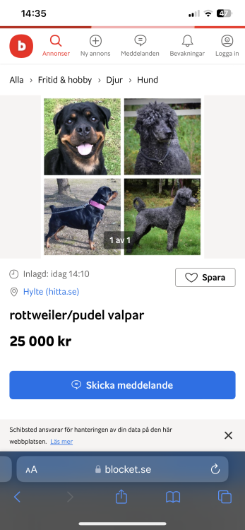 4110F3DB-9B69-4FAF-9171-CC339DEFA69F.png