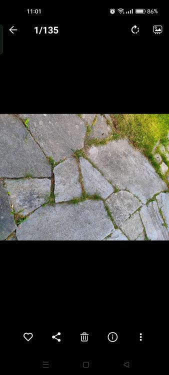 Screenshot_2023-06-12-11-01-19-85_d0e89a145335bbdd0e6d7517f5128186.jpg