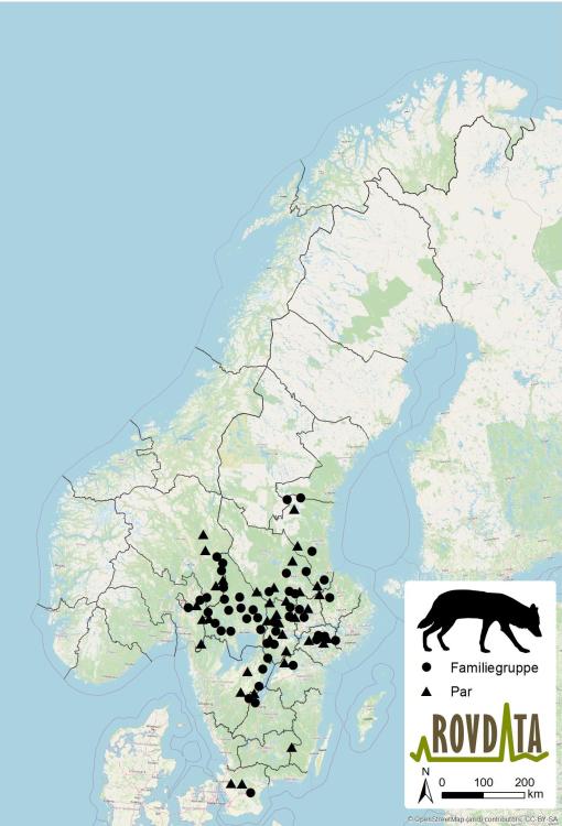 UlvSkandinaviaflokkerogpar2022_2023_v2.thumb.jpg.09ca19c4cce7dd3257d236d107dd727b.jpg