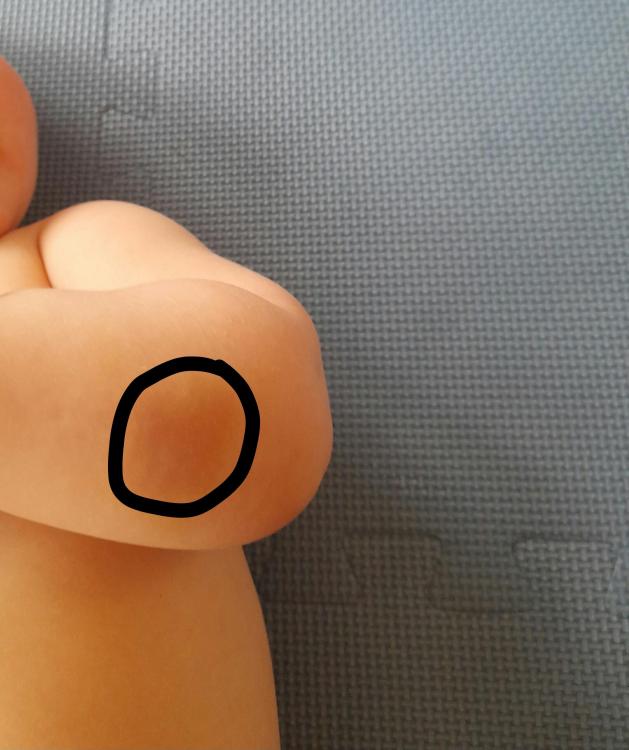 aviary-image-1683820458491.thumb.jpeg.8773bdd40b68242251f9fb83ea5f4a2b.jpeg