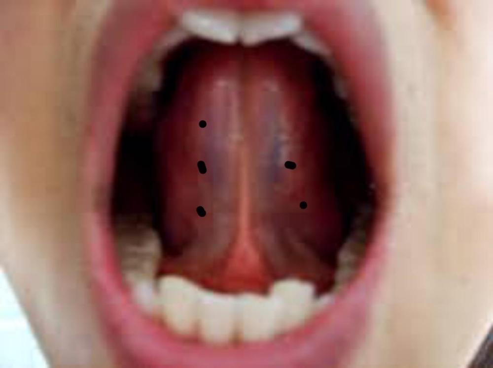 0F65C2B5-9B0A-4344-B19E-56852E6550ED.jpeg