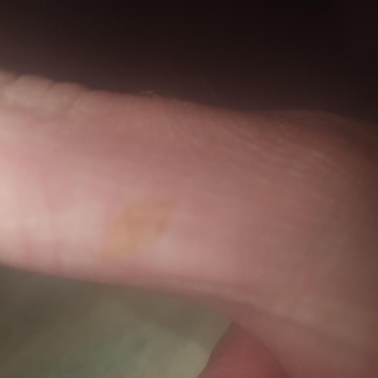 20230722_191032.jpg