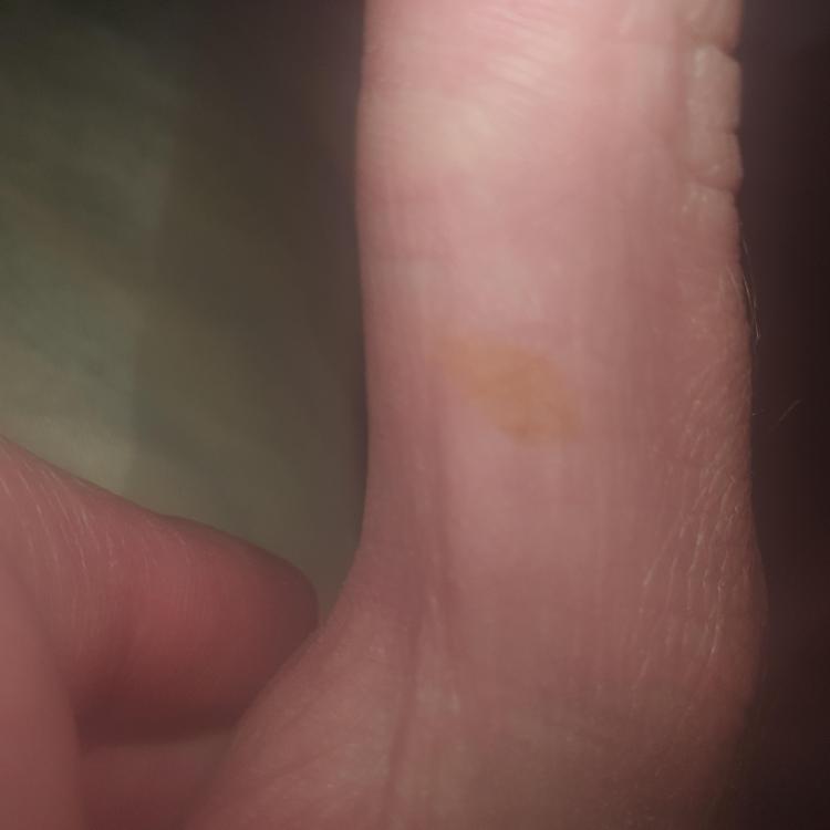 20230722_191044.jpg