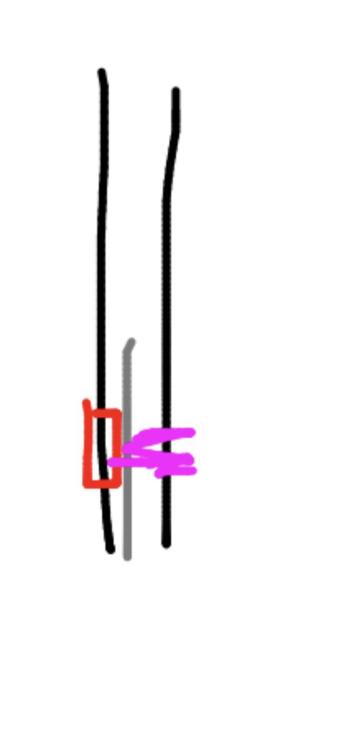 IMG_1811.jpeg