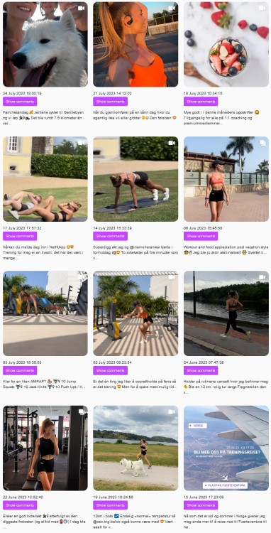 Screenshot 2023-07-26 at 14-36-04 netfit.no Watch Instagram stories anonymously Posts Comments User profile statistics.png