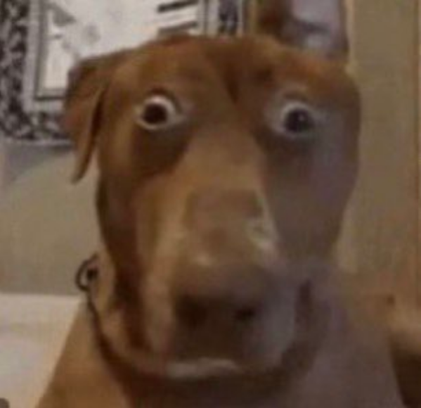 fffffgdgfdgd.png.b6517e1695561e8a516a1849ada97d6a.png