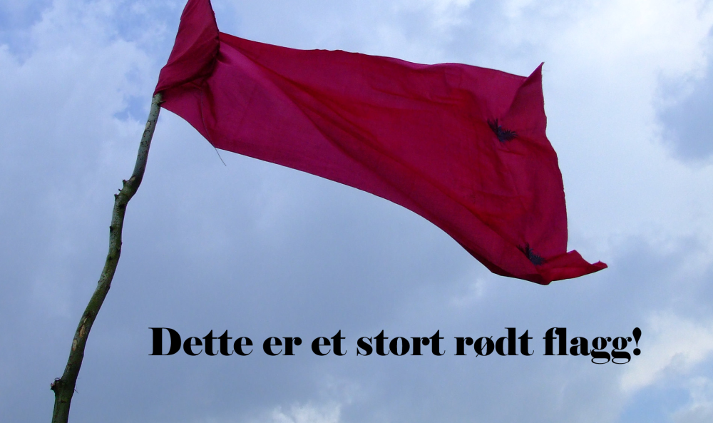 rødt flagg.png