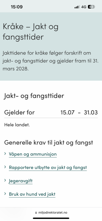 IMG_3918.png