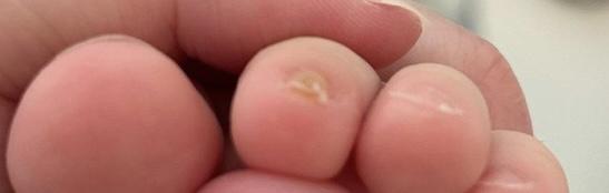 IMG_4549.jpeg.916e01e4bb2bba3a97080beeac06477f.jpeg