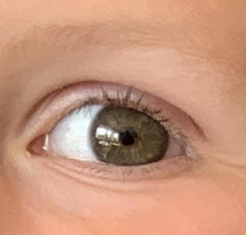 IMG_6673.jpeg