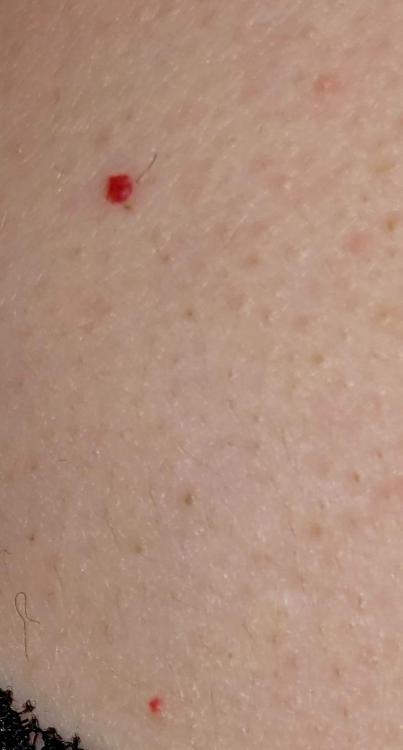 20231013_210405.thumb.jpg.a645ddb2e1b6e9716dd4bee69c6f3b03.jpg