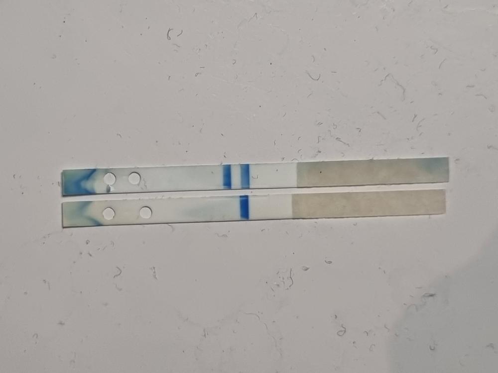 20231022_114022.jpg