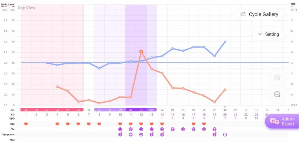 bbt chart.jpg