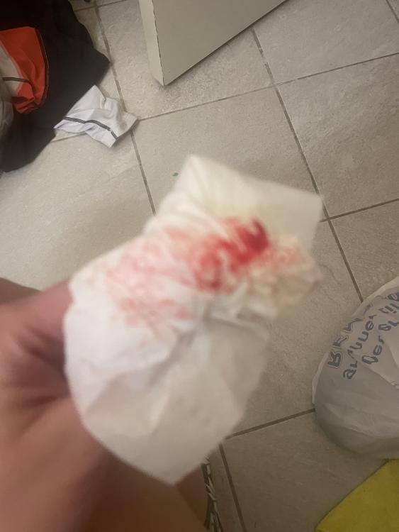 46B4E266-91DE-4D5B-BA2F-F91AD0AF3A0F.thumb.jpeg.69c05fa3011da8b760e3a404ae23a735.jpeg