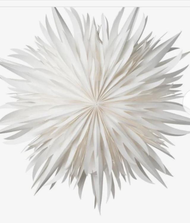 94411B27-89C8-4523-8E3D-8F7FDCFCB5C1.jpeg